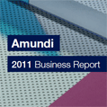 119x119 2011 Business report